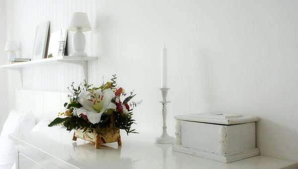 Maîtrise de la Peinture : Conseils Essentiels pour Obtenir un Devis Précis et Transparent !
