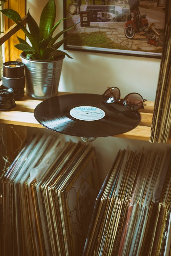 Porte-vinyles : le guide pour un rangement tendance et pratique