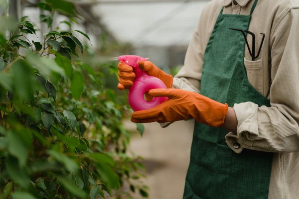 Nématodes steinernema feltiae : la lutte bio contre les ravageurs